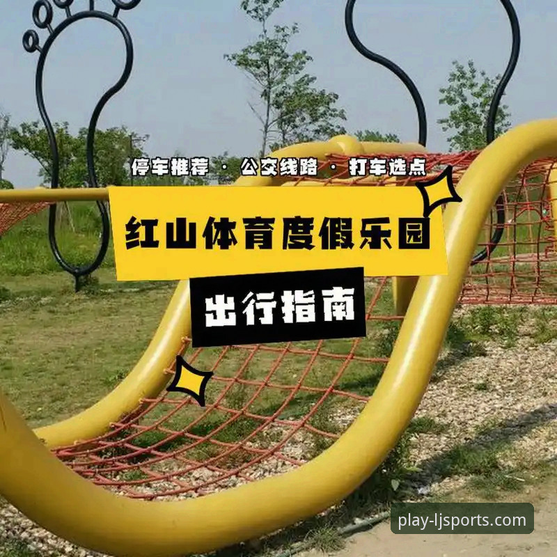 乐竞体育官方平台使用技巧：老用户带你玩转全功能完整指南